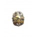 Знак "Отличник МЧС" Республики Беларусь