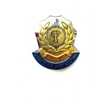 Знак "Белорусская энергосистема 85 лет. Беларуская энергасістэма 85 год"