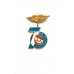 Знак "70 лет ВВС Минск 1989"