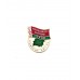Знак "Усебеларускі народны сход - РЭФЕРЭНДУМ 1996"