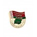 Знак "Усебеларускi народны сход - Рэферендум - 96"