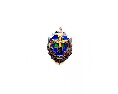 Знак "15 лет отдельной авиационной эскадрилье" (VIP)