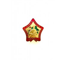 Знак "200 выходов на охрану Государственной границы"