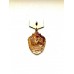 Знак "Отличник погранслужбы" II ст