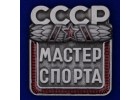 Спортивные значки и добровольческие движения (223)