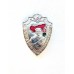 Знак "Старший пограннаряда"