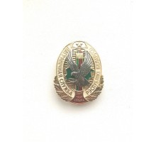 Знак "Пограничная служба Республики Беларусь"