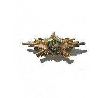 Знак "Рота почетного караула"