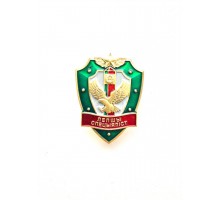 Знак "Лучший специалист"