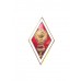 Знак выпускника высшего медицинского учебного заведения