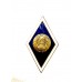 Знак выпускника высшего учебного заведения Республики Беларусь