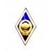 Знак выпускника университета  