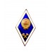 Знак выпускника высшего технического учебного заведения