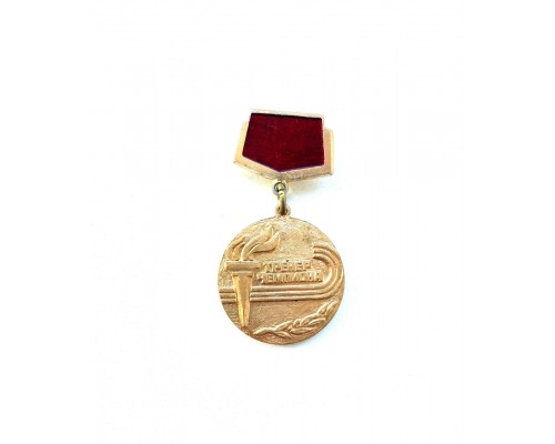 Значок "Тренер чемпионата"