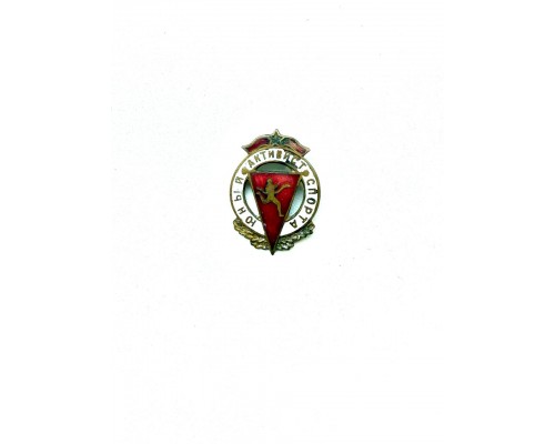 Нагрудный знак СССР «Юный активист спорта»