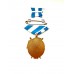 Знак "70 лет 1 (26) краснознаменная воздушная армия"