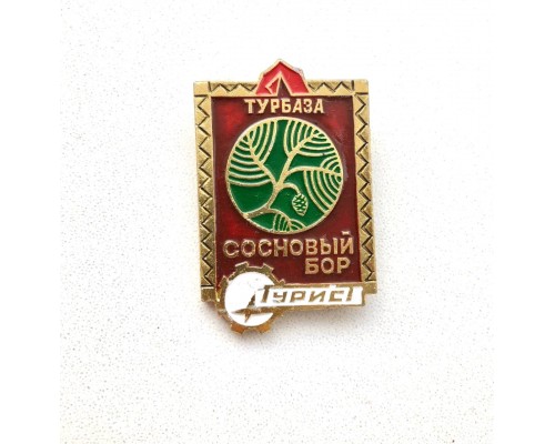 Значок "Турбаза Сосновый бор"