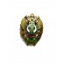 Нагрудный знак "Профессор Академии ФПС РФ"