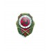 Знак "Отличный стрелок"