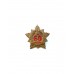Знак "Участник парада 2004"