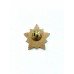 Знак "Участник парада 2004"