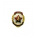 Знак "Отличник физической культуры"