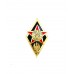 Знак "Выпускник Института пограничной службы Республики Беларусь"