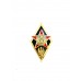 Знак "Выпускник Института пограничной службы Республики Беларусь"
