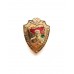Знак "Старший пограннаряда"