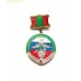 Знак "70 лет учебно-боевому центру ФПС в Республике Таджикистан"